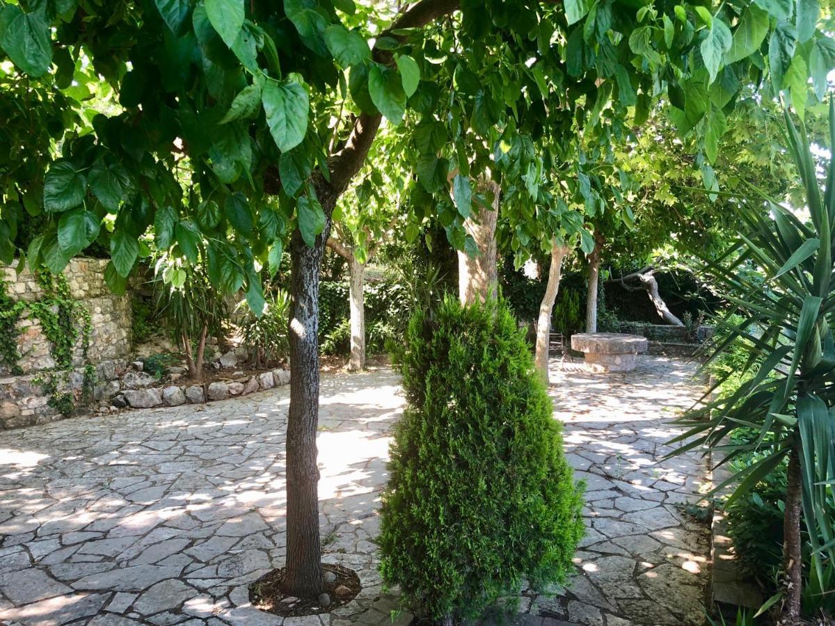 Gaia (Γαία) guest house Καλαμάτα Εξωτερικό φωτογραφία
